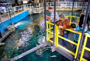 Aquarium of the Pacific - Behind the Scenes Tour